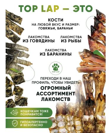 Top Lap Bones for small dogs from a black ram 5 pieces - Buy Online on GoSupps.com