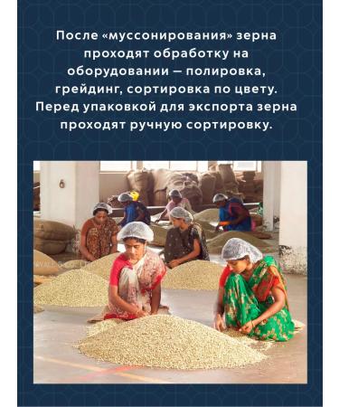 Saint Drogo Coffee in grains Mussonon malabar 1 kg - Buy Online on GoSupps.com