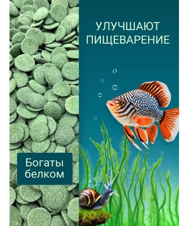 ZooKas Feed for bottom fish soms WAFERS tablets - Buy Online on GoSupps.com