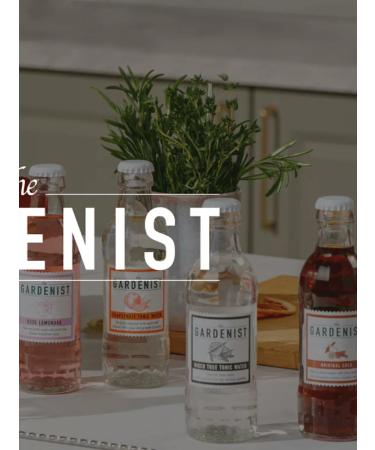 THE GARDENIST Birch tonic for Birch Tree Tonic Water 5x200ml cocktails - Buy Online on GoSupps.com