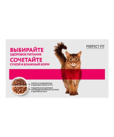 PERFECT FIT Wet food for sterilized cats of beef 75 g 12 pcs - Buy Online on GoSupps.com