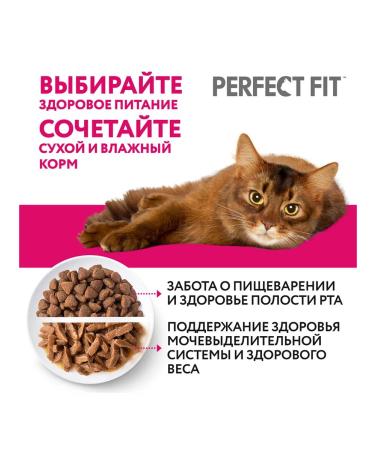 PERFECT FIT Feed moist health of the kidneys of cats salmon in sauce 75 g 6 pcs - Buy Online on GoSupps.com