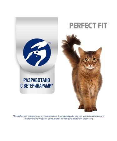 PERFECT FIT Feed moist health of the kidneys of cats salmon in sauce 75 g 6 pcs - Buy Online on GoSupps.com