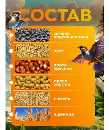 RAFA Feed for park street birds - Buy Online on GoSupps.com