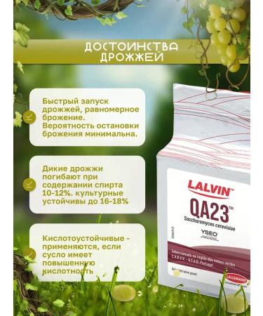 Lalvin Wine yeast "QA 23" 500 grams - Buy Online on GoSupps.com