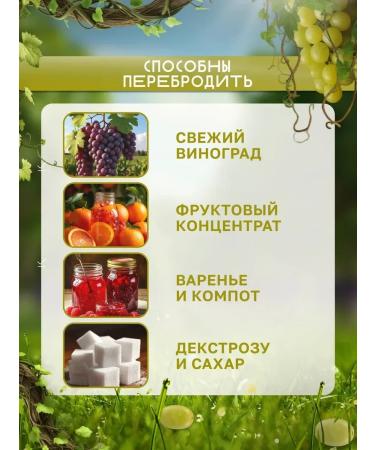 Lalvin Wine yeast "QA 23" 500 grams - Buy Online on GoSupps.com