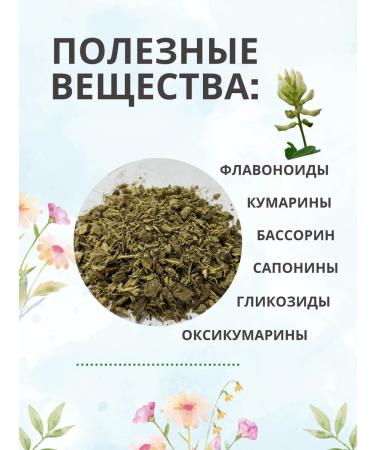 Summergreen Astragal membrane root 100 grams of Altai - Buy Online on GoSupps.com