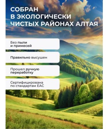 Summergreen Astragal membrane root 100 grams of Altai - Buy Online on GoSupps.com