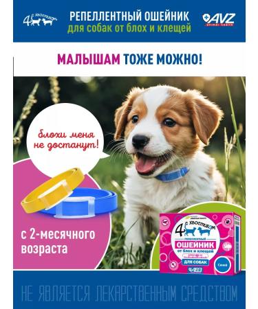 AVZ Collar from fleas and ticks 65 cm for dogs blue - Buy Online on GoSupps.com