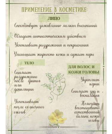 Summergreen Kurilian tea (bunch of shrub) 130 grams of Altai - Buy Online on GoSupps.com