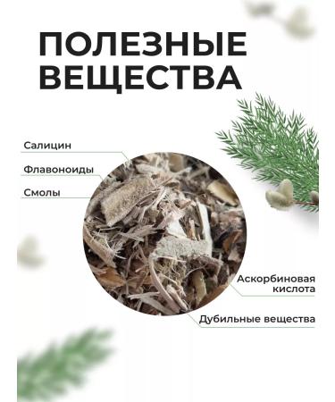 Summergreen Belaya willow - Buy Online on GoSupps.com