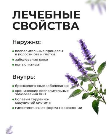 Summergreen Issop grass from cough medicinal tea - Buy Online on GoSupps.com