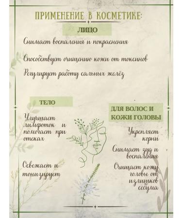 Summergreen Orthosiphon grass renal tea - Buy Online on GoSupps.com