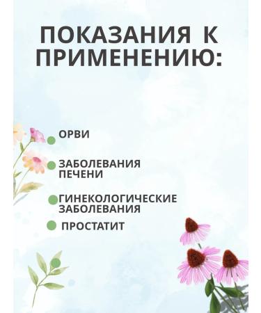 Summergreen Echinacea Purple grass 130 grams of Crimea - Buy Online on GoSupps.com