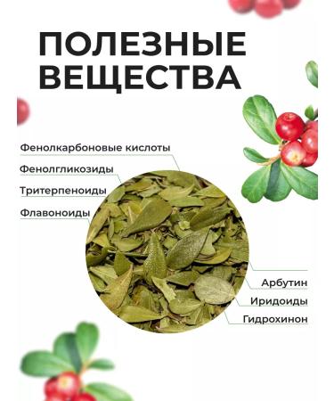Summergreen Tolknyanka grass dried ordinary leaves - Buy Online on GoSupps.com