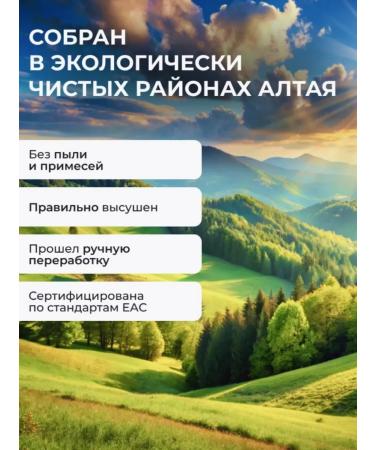 Summergreen Immortals grass and color 80 grams of Altai - Buy Online on GoSupps.com