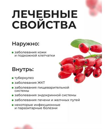 Summergreen Barberis root dried Siberian - Buy Online on GoSupps.com