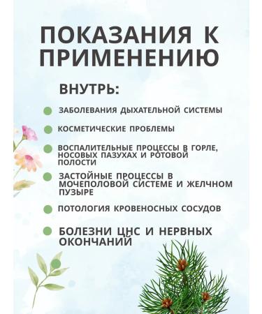 Summergreen Pine kidney 130 grams of Altai - Buy Online on GoSupps.com