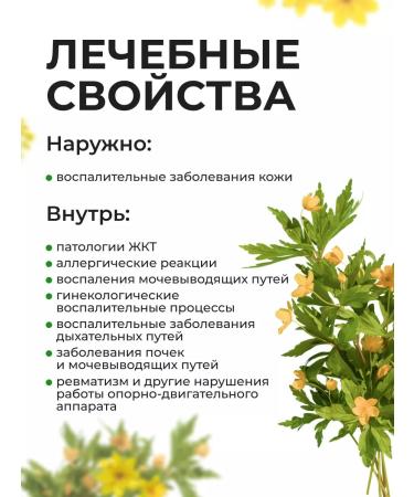 Summergreen A series of three -part grass dried - Buy Online on GoSupps.com