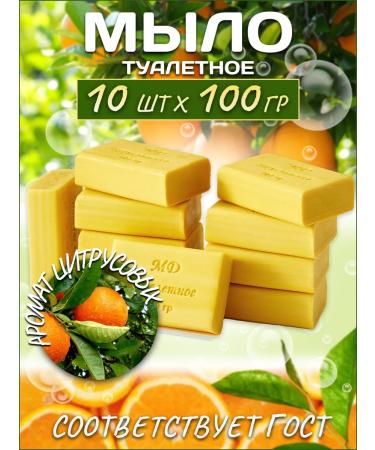 110Team Toilet citrus fruits 10x100g