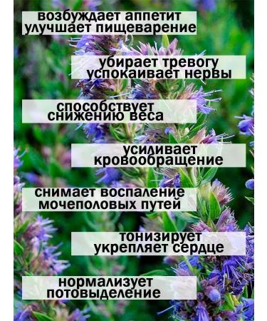 Tree of Love Hyssop - Buy Online on GoSupps.com