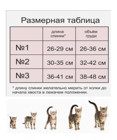 Dirgibor Popon postoperative for cats from Byazi - Buy Online on GoSupps.com