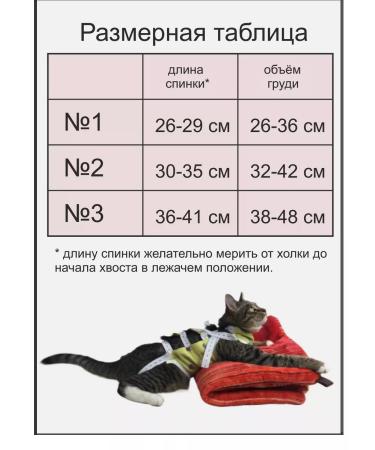 Dirgibor Popon postoperative flannel for cats - Buy Online on GoSupps.com