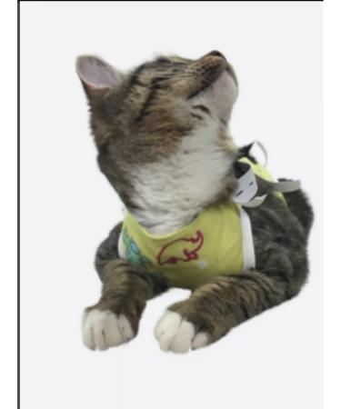 Dirgibor Popon postoperative flannel for cats - Buy Online on GoSupps.com