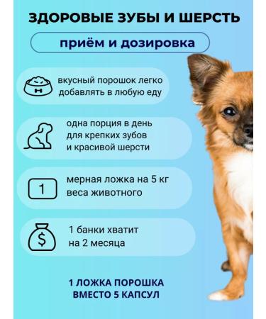 Yappy Pet Vitamins for wool and teeth for small dogs - Buy Online on GoSupps.com