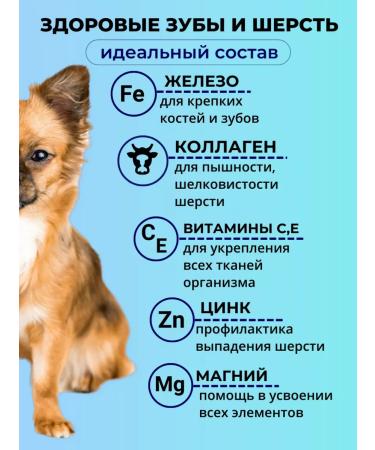 Yappy Pet Vitamins for wool and teeth for small dogs - Buy Online on GoSupps.com