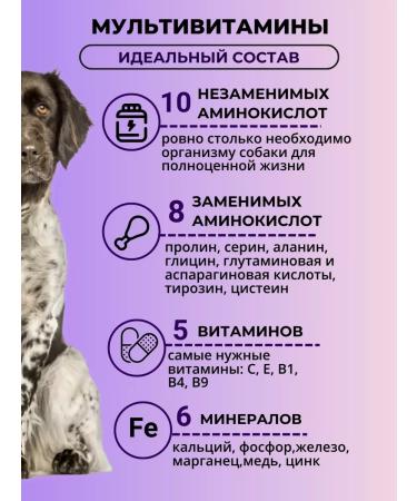 Yappy Pet Multivitamins for dogs of large breeds - Buy Online on GoSupps.com