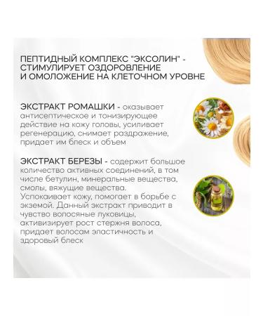 LITALINE Shampoo for dry and brittle hair with peptides 200ml - Buy Online on GoSupps.com