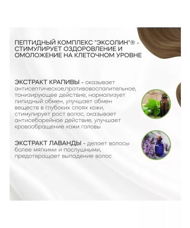 LITALINE Fatty hair shampoo with peptides 200 ml - Buy Online on GoSupps.com