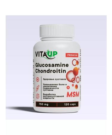 Vita UP Glucosamine chondroitin MSM - Buy Online on GoSupps.com