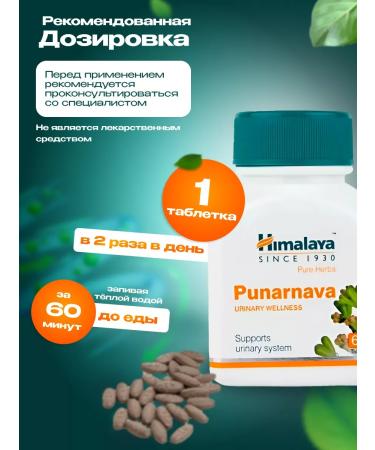 Himalaya Herbals Punarnava punarnava treatment of the kidney renal himalaya 2x60tab - Buy Online on GoSupps.com