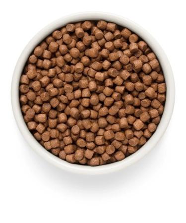 PREMIER Dry salmon food with turkey dogs of small rocks 1 kg - Buy Online on GoSupps.com