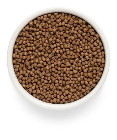 PREMIER Dry feed with fresh turkey for kittens from 3 weeks 2kg - Buy Online on GoSupps.com