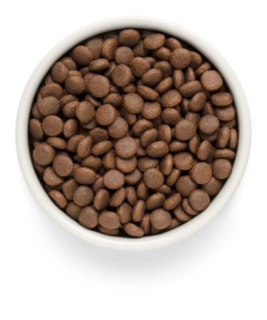 PREMIER Dry turkey food for juniors of medium and large rocks 10 kg - Buy Online on GoSupps.com