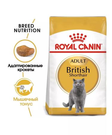 ROYAL CANIN Dry food for adults of British short -haired cats 2kg - Buy Online on GoSupps.com
