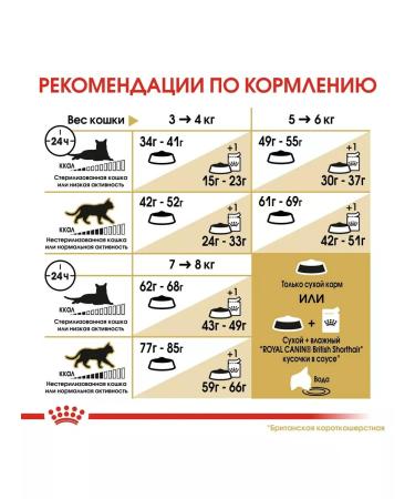 ROYAL CANIN Dry food for adults of British short -haired cats 2kg - Buy Online on GoSupps.com