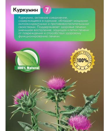 Swiss bork Proopsha for the liver capsule T rkiye - Buy Online on GoSupps.com