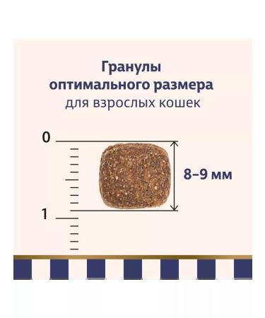 Taormina Bezernary food for cats with lamb and vegetables 2.5 kg - Buy Online on GoSupps.com