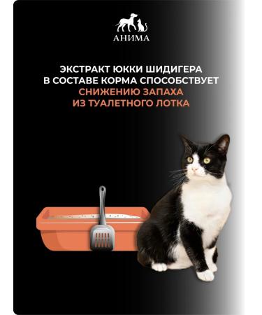 ANIMA Dry food for sterilized cats "salmon and peas" 3 kg - Buy Online on GoSupps.com