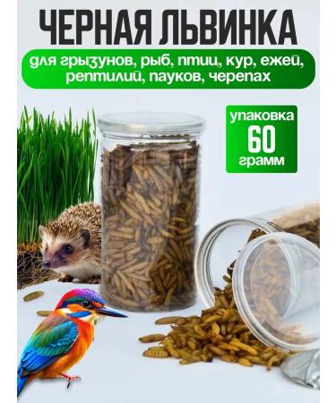 Sly Rat Black Lion Carnet for Turtles Rats Birds 60 grams