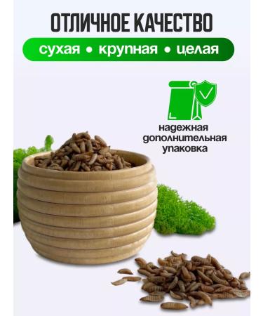 Sly Rat Black Lion Carnet for Turtles Rats Birds 60 grams - Buy Online on GoSupps.com