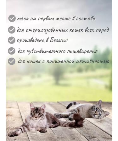 PREMIER Lamb & Turkey Sterilized meat of lamb with turkey 2 kg - Buy Online on GoSupps.com