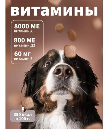 DILLY Dry food for dogs turkey 14kg - Buy Online on GoSupps.com