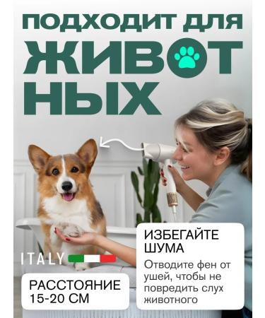 Meyvel Hair hair dryer 1600 W MF9-1600 (Jade White) - Buy Online on GoSupps.com