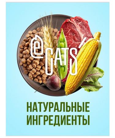 ECATS Dry food for sterilized cats with a turkey 10 kg - Buy Online on GoSupps.com