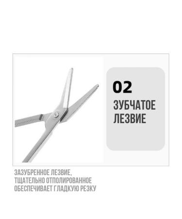 ALBA Store Manic -pedicure scissors for the elderly 21 cm - Buy Online on GoSupps.com